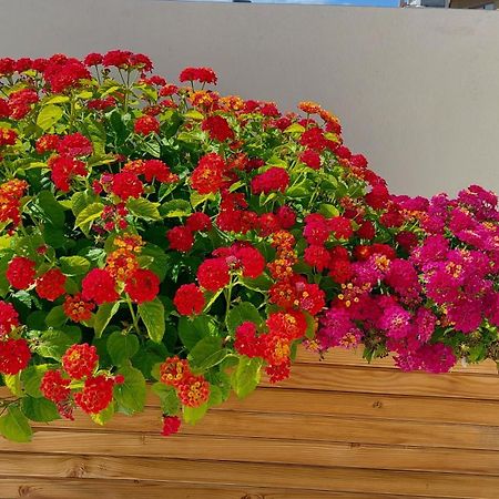 The Little Big Apartment In The Heart Of Heraklion Екстер'єр фото
