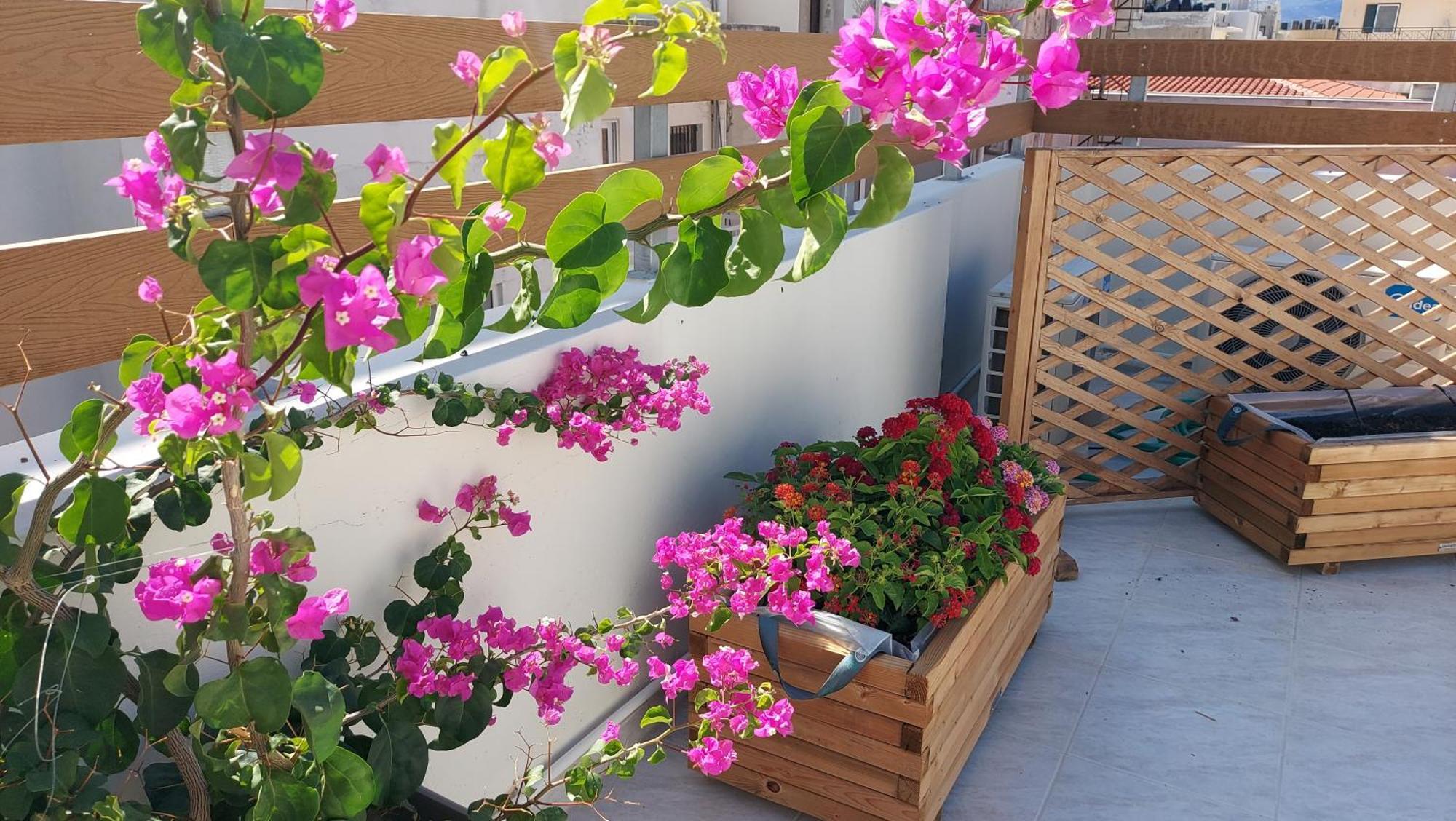 The Little Big Apartment In The Heart Of Heraklion Екстер'єр фото