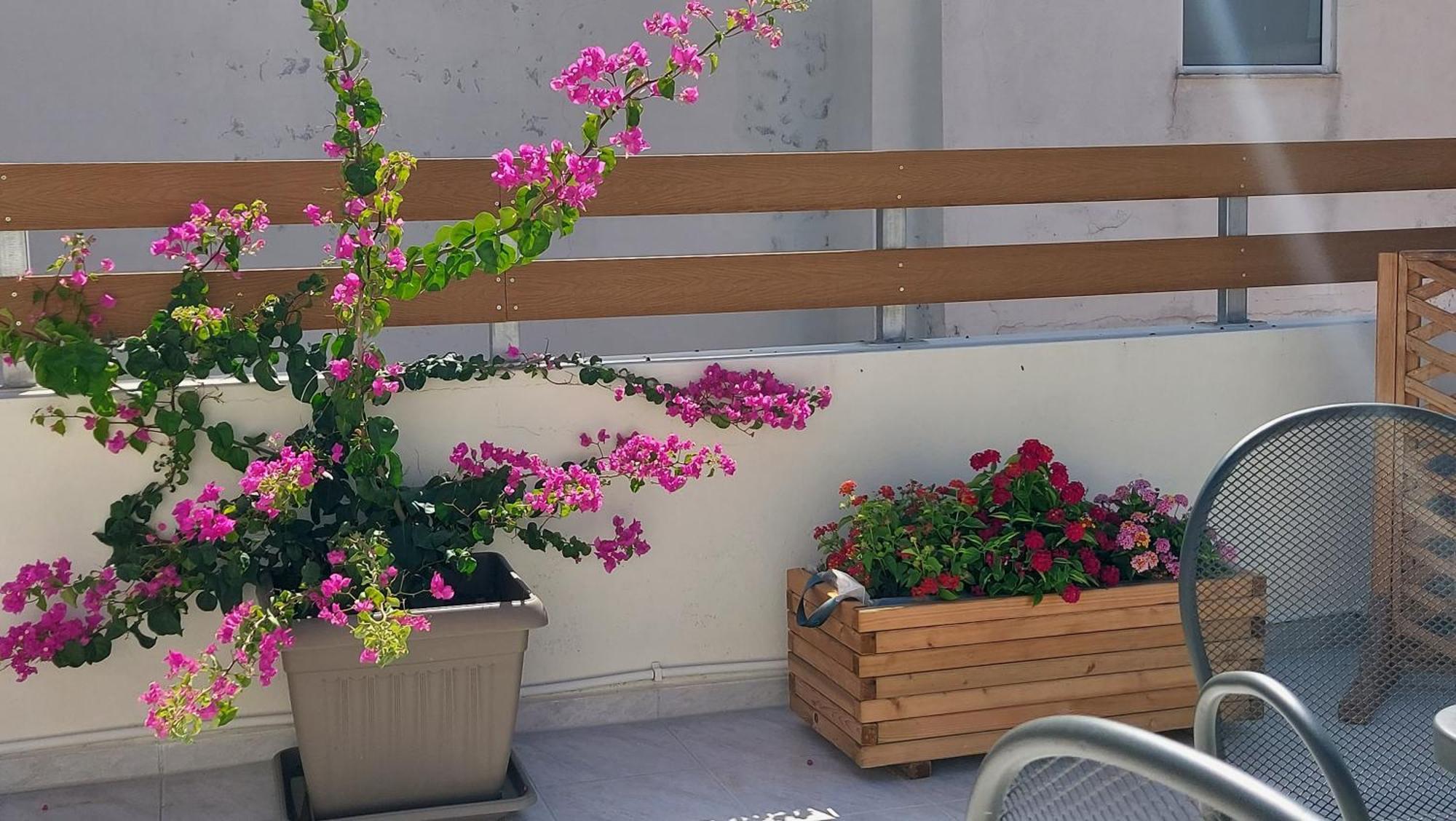 The Little Big Apartment In The Heart Of Heraklion Екстер'єр фото